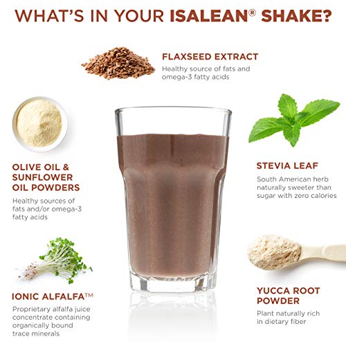 Isagenix IsaLean Shake - Complete Superfood Meal Replacement Drink Mix for Healthy Weight Loss and Lean Muscle Growth - 854 Grams - 14 Meal Packets (Creamy Dutch Chocolate Flavor)