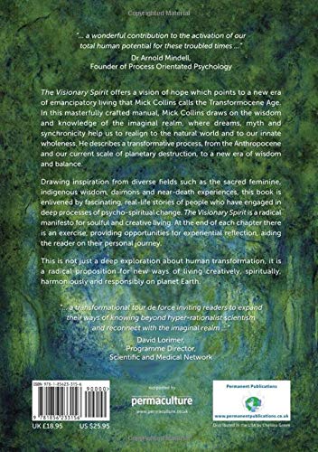 Visionary Spirit: Awakening to the Imaginal Realm in the Transformocene Age